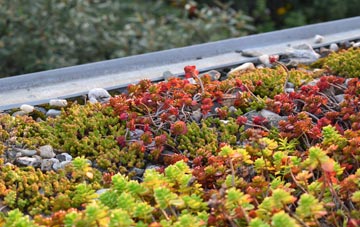 the cost of Llanllwch green roof installation