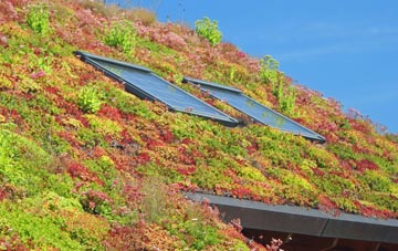 Llanllwch living roof systems